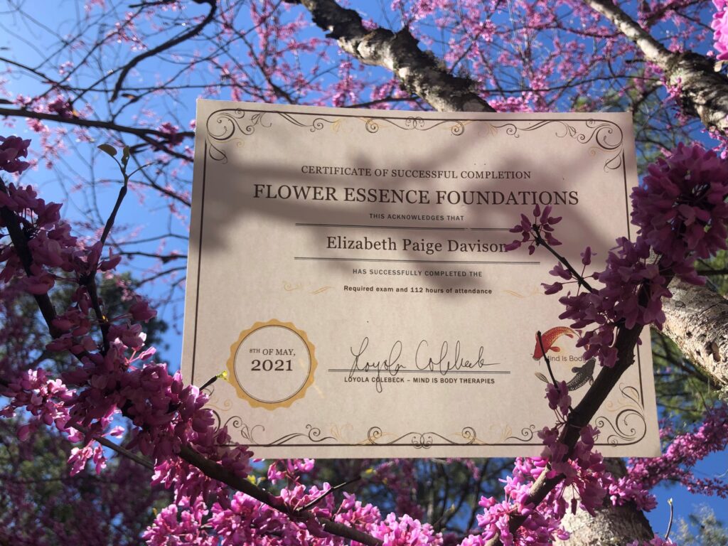 A photo of my certificate from Loey Colebecks 6 month long flower essence training